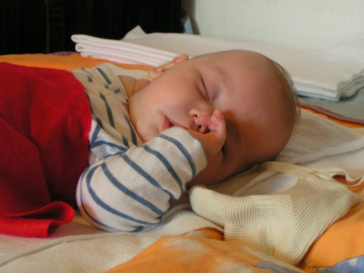 Fotografie (Zatnout zuby a vydžet)