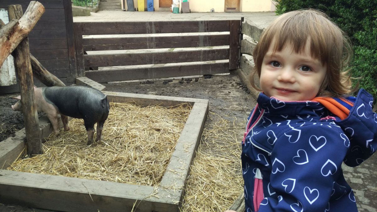 Fotografie (Puberta? U nás v 21 měsících)