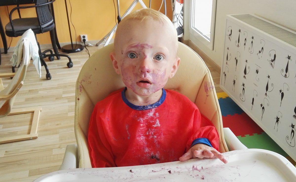 Fotografie (Z darů naší země)