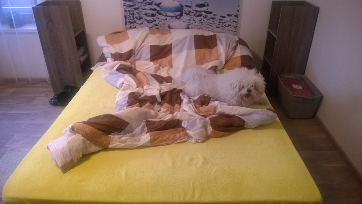 Fotografie (Rychlý týden)