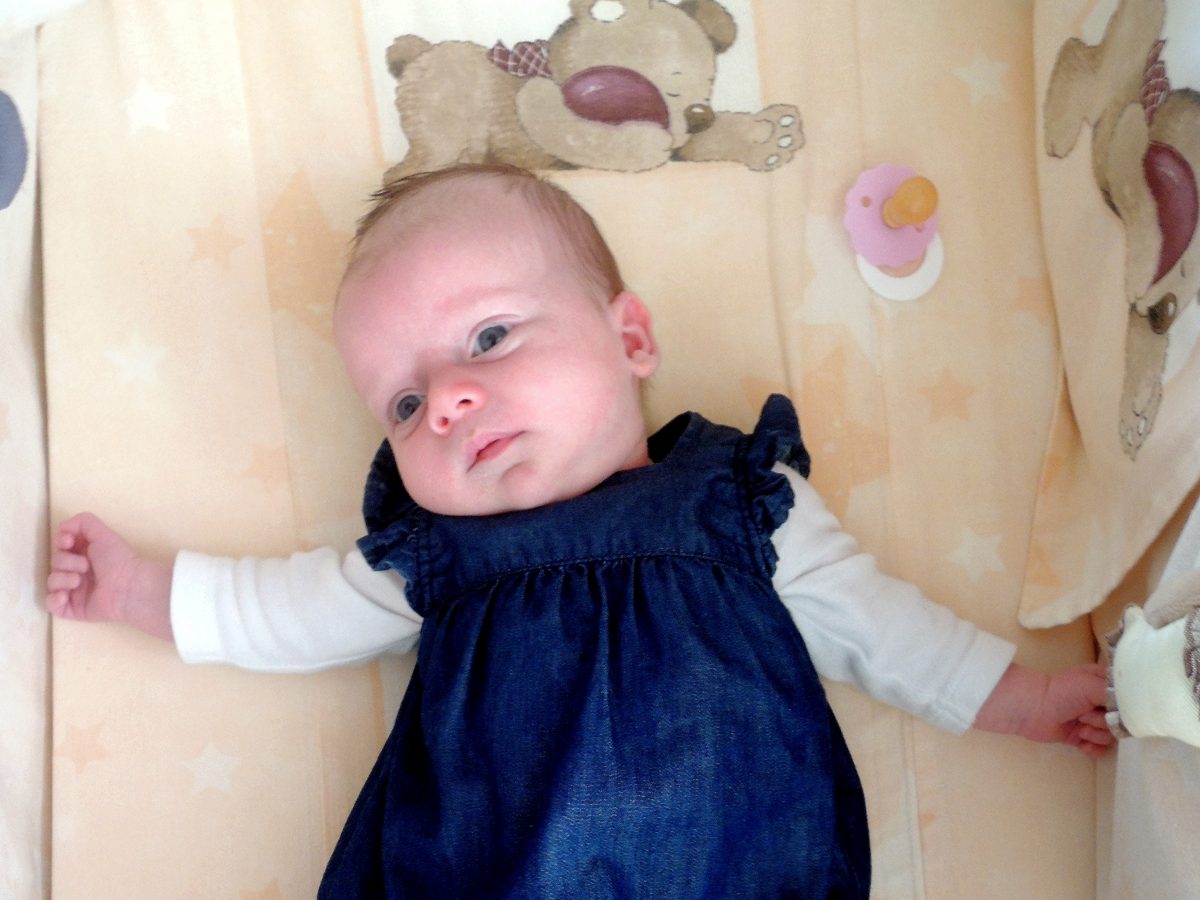 Fotografie (Syslí tváře a vypasená bříška)